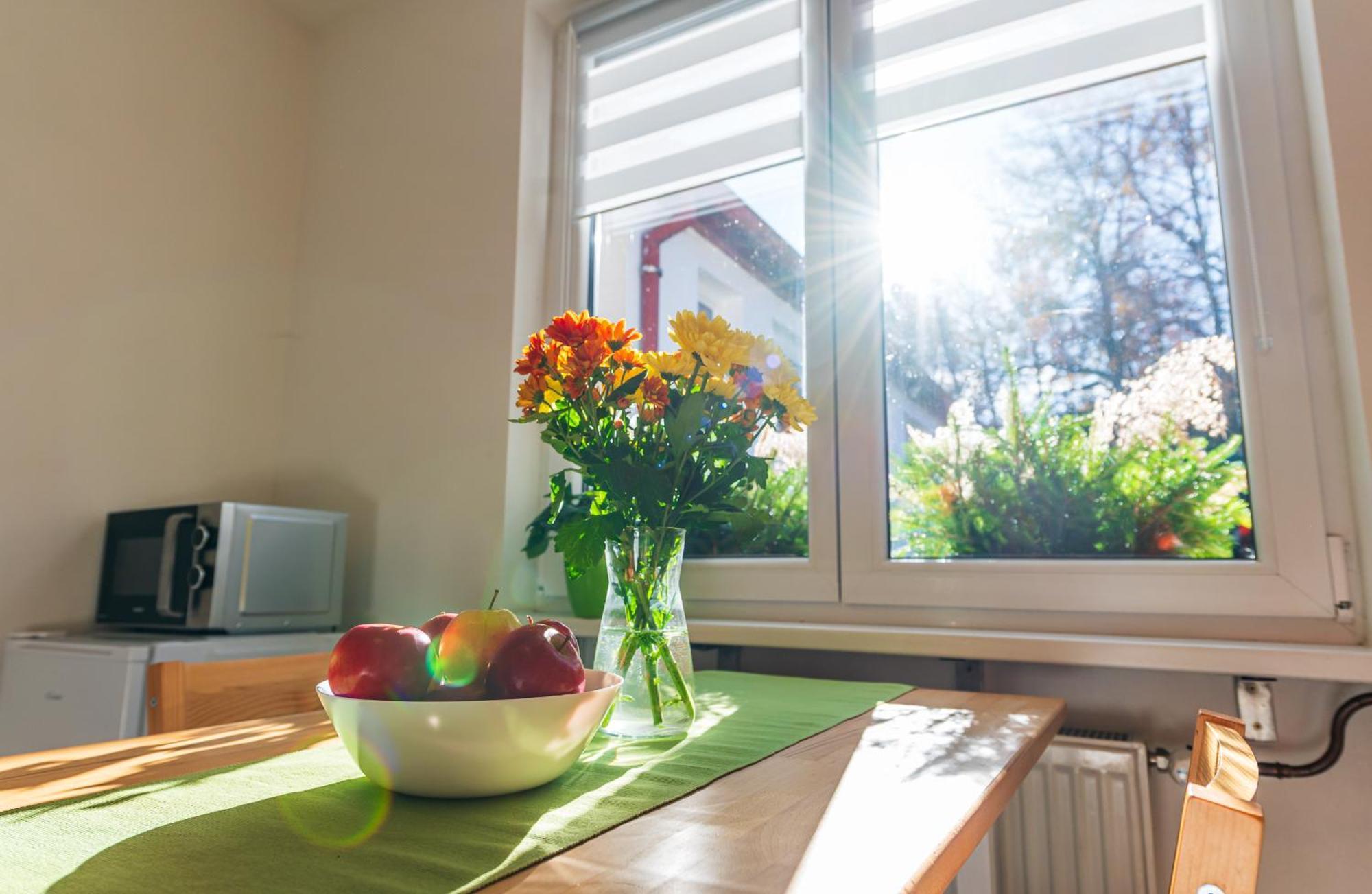 Ubytovani Na Samote - Apartman U Tesaru Komarice Bagian luar foto